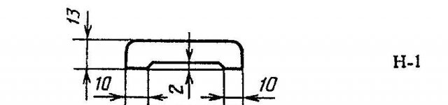 ris1